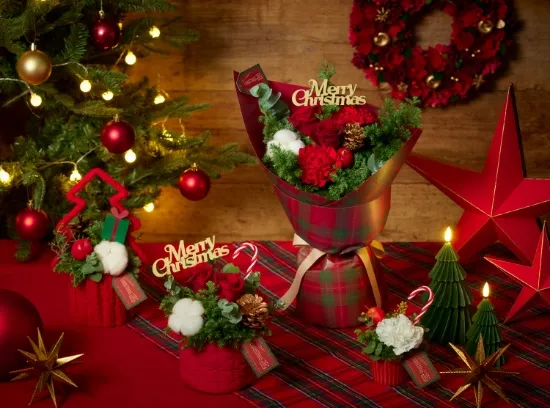 TARTAN S Red