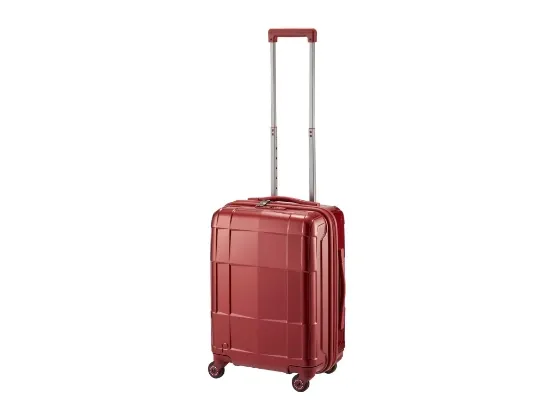 ACE Bags & Luggage